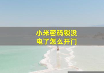 小米密码锁没电了怎么开门