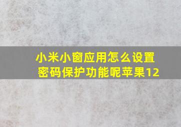 小米小窗应用怎么设置密码保护功能呢苹果12