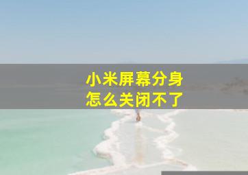 小米屏幕分身怎么关闭不了