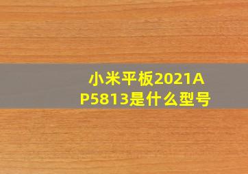 小米平板2021AP5813是什么型号