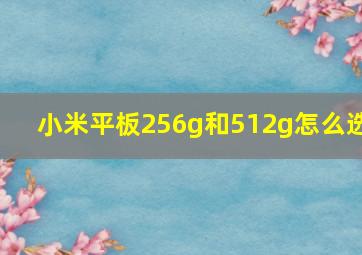 小米平板256g和512g怎么选