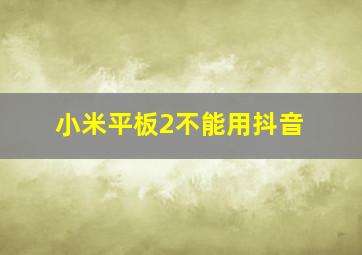 小米平板2不能用抖音