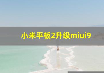 小米平板2升级miui9