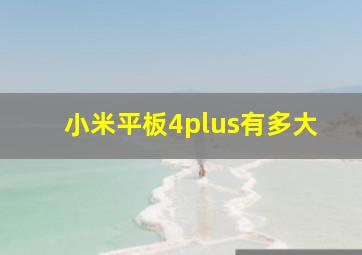 小米平板4plus有多大