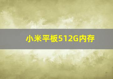 小米平板512G内存