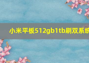 小米平板512gb1tb刷双系统