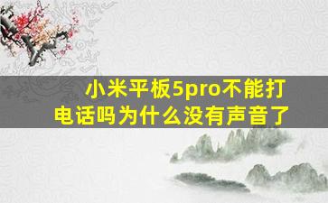 小米平板5pro不能打电话吗为什么没有声音了