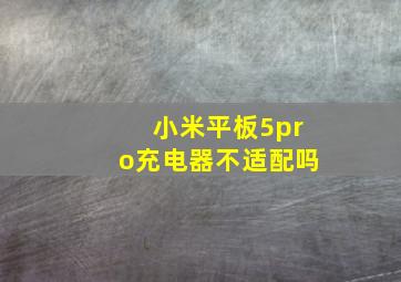 小米平板5pro充电器不适配吗