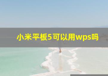 小米平板5可以用wps吗