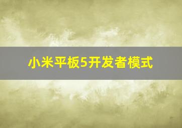 小米平板5开发者模式