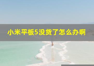 小米平板5没货了怎么办啊