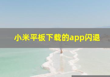 小米平板下载的app闪退