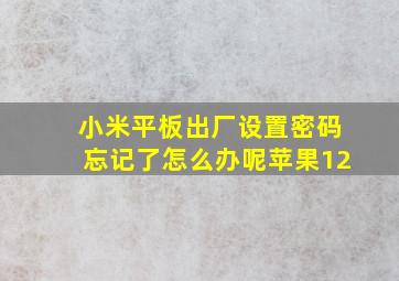 小米平板出厂设置密码忘记了怎么办呢苹果12