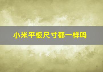 小米平板尺寸都一样吗