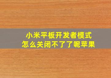 小米平板开发者模式怎么关闭不了了呢苹果