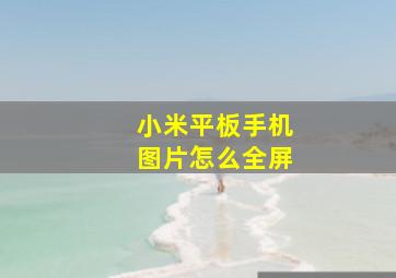 小米平板手机图片怎么全屏