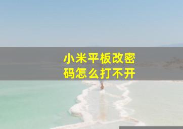 小米平板改密码怎么打不开