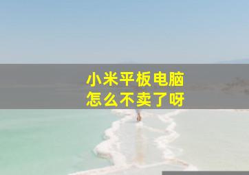 小米平板电脑怎么不卖了呀