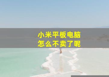 小米平板电脑怎么不卖了呢