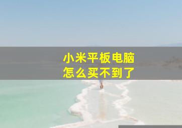 小米平板电脑怎么买不到了