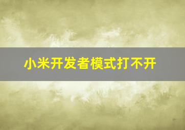 小米开发者模式打不开