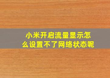 小米开启流量显示怎么设置不了网络状态呢