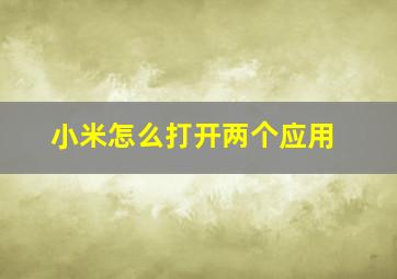 小米怎么打开两个应用