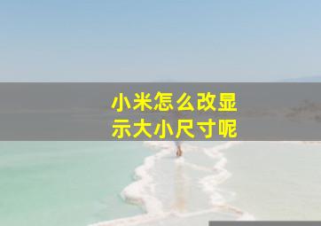 小米怎么改显示大小尺寸呢