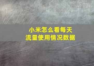 小米怎么看每天流量使用情况数据