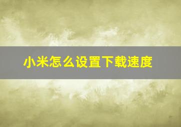 小米怎么设置下载速度