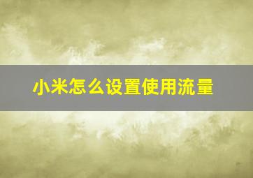 小米怎么设置使用流量