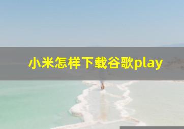 小米怎样下载谷歌play