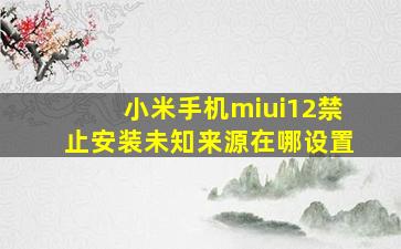 小米手机miui12禁止安装未知来源在哪设置