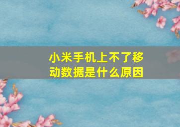 小米手机上不了移动数据是什么原因