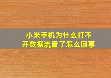 小米手机为什么打不开数据流量了怎么回事