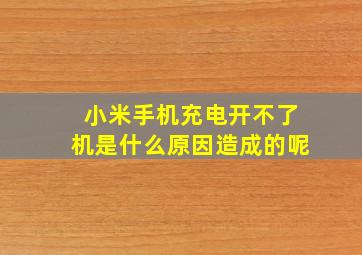 小米手机充电开不了机是什么原因造成的呢