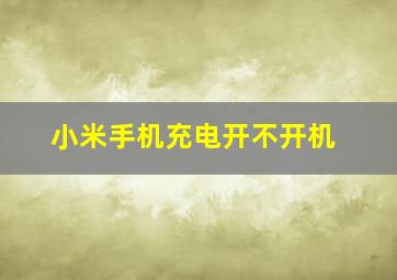 小米手机充电开不开机