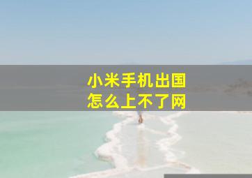 小米手机出国怎么上不了网