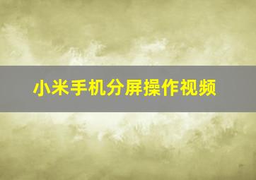 小米手机分屏操作视频