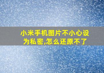 小米手机图片不小心设为私密,怎么还原不了