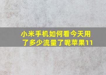 小米手机如何看今天用了多少流量了呢苹果11