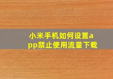 小米手机如何设置app禁止使用流量下载