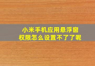 小米手机应用悬浮窗权限怎么设置不了了呢