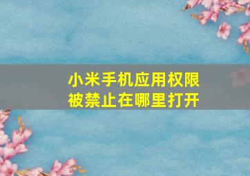 小米手机应用权限被禁止在哪里打开