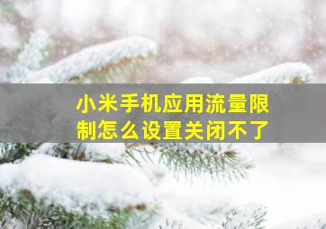 小米手机应用流量限制怎么设置关闭不了