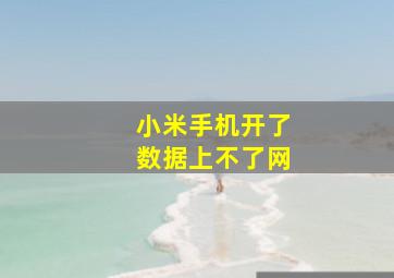 小米手机开了数据上不了网