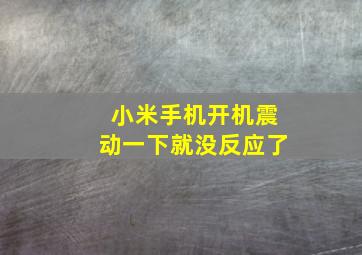 小米手机开机震动一下就没反应了