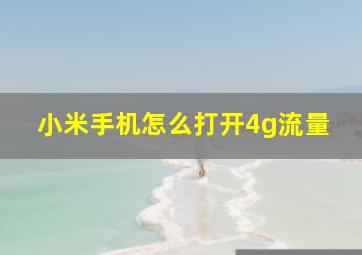 小米手机怎么打开4g流量