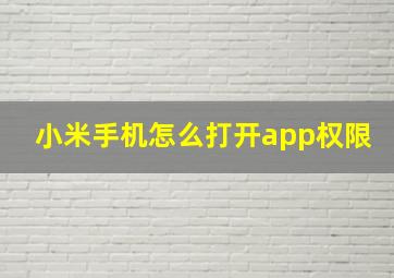 小米手机怎么打开app权限