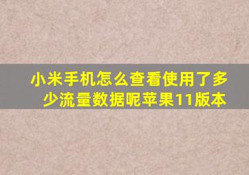 小米手机怎么查看使用了多少流量数据呢苹果11版本